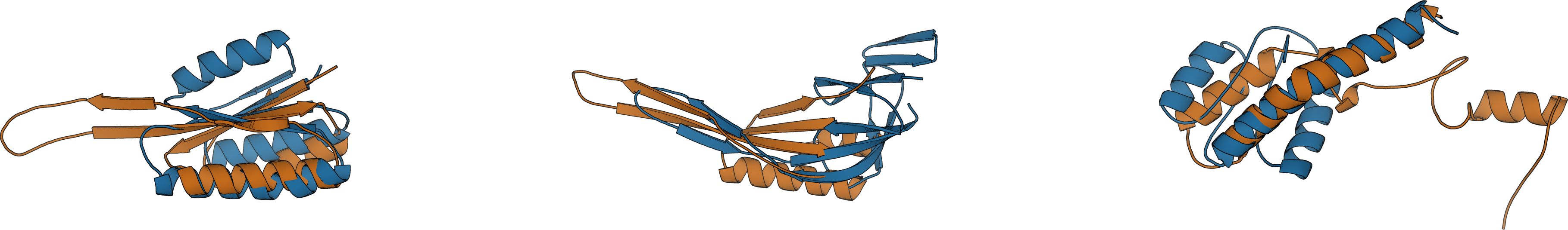 Base proteins