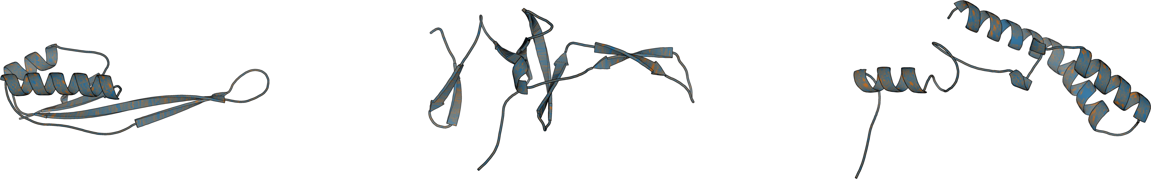 CDM proteins