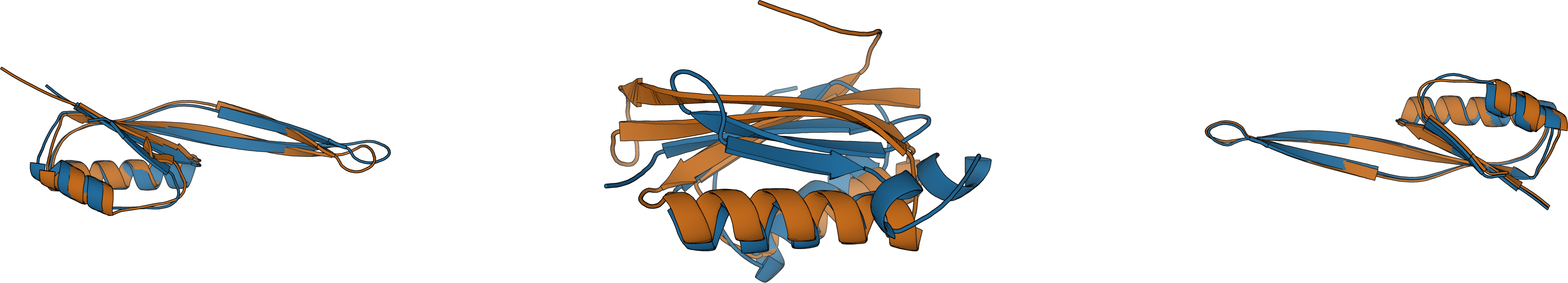 SMC (M=1) proteins