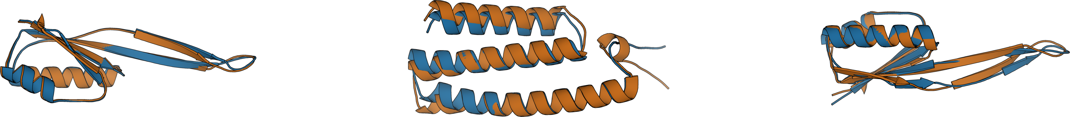 SVDD proteins